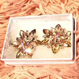 Diamond-like sparkling earrings